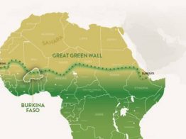 A GRANDE MURALHA VERDE: 8 MIL KM DE ÁRVORE PARA SALVAR A ÁFRICA