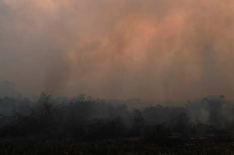 Chuva preta e dia escuro: as dificuldades que as queimadas no Pantanal e na Amazônia podem levar a outras regiões