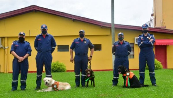 Três novos cães de busca estão ativos no Corpo de Bombeiros Militar de Santa Catarina
