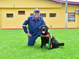 Três novos cães de busca estão ativos no Corpo de Bombeiros Militar de Santa Catarina