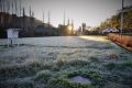 Frio intenso: Epagri recomenda práticas para mitigar prejuízos nos cultivos