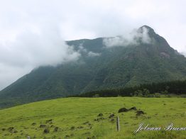 Urubici