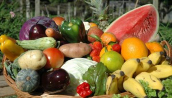 Proposta de participação de agricultores catarinenses no Programa de Aquisição de Alimentos foi aprovada pelo governo federal