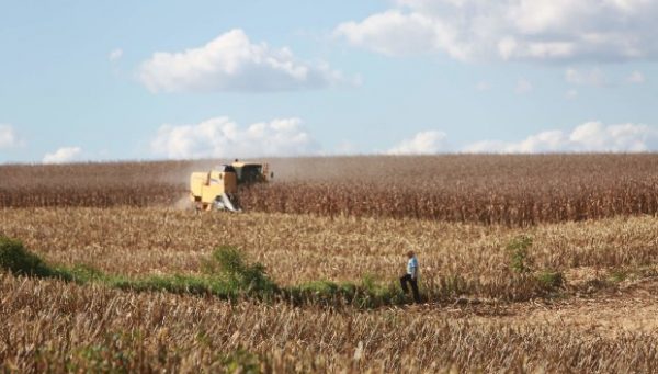 Departamento de Agricultura dos Estados Unidos destaca investimentos de SC para ampliar produção de grãos
