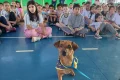 Programa Bem Estar Animal realiza palestras nas escolas