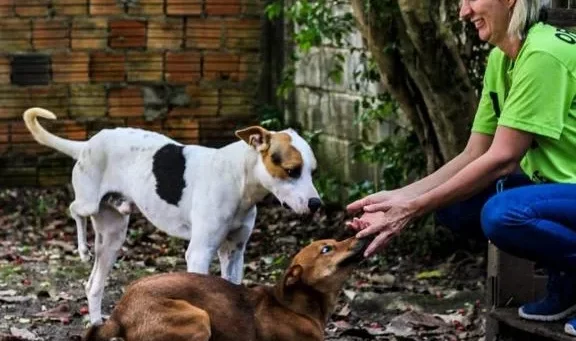 Diretoria de Bem Estar Animal reforça a adoção consciente