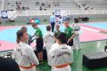 2ª Copa Seara de Taekwondo