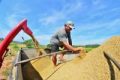 Itajaí deve colher mais de 16 mil toneladas de arroz na safra 2022/2023