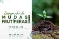 Prefeitura de Timbó inicia Campanha de Frutíferas 2023