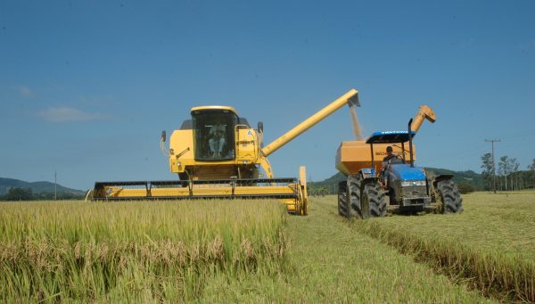Cooperativas geram 60 mil empregos e são parceiras do Estado no desenvolvimento do agronegócio catarinense