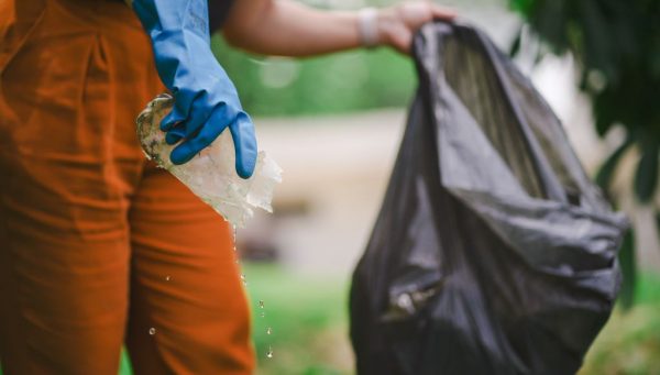Dengue em SC: cuidados de prevenção devem ser mantidos mesmo com temperaturas baixas