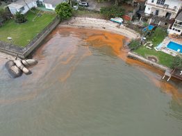 Análise do IMA explica manchas alaranjadas registradas na Baía Sul em Florianópolis