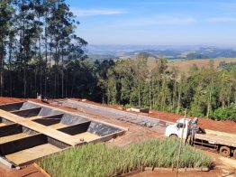 Projeto Esgotamento Sobre Rodas para Santa Catarina avança com jardins filtrantes