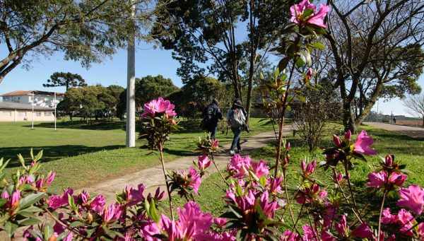 Udesc divulga quinta chamada do Vestibular de Inverno 2024