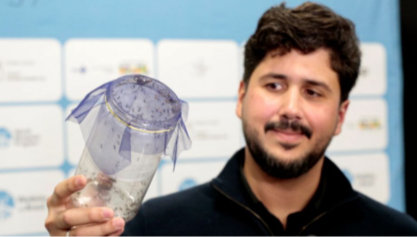 Método Wolbachia avança em Santa Catarina e Joinville se destaca como referência na aplicação da tecnologia de prevenção à dengue