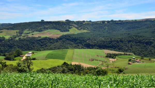 Projeto SC Rural 2 para garantir mais renda e melhorias a produtores catarinenses é aprovado no Senado