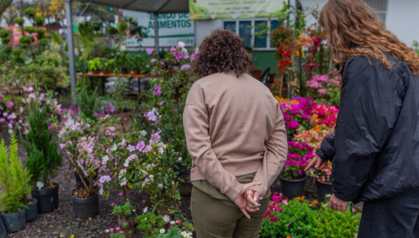 Feira de Mudas acontece até domingo em Chapecó