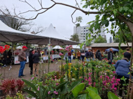 Cerca de quatro mil pessoas visitaram a Feira de Mudas promovida pela Prefeitura de Chapecó