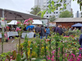 Cerca de quatro mil pessoas visitaram a Feira de Mudas promovida pela Prefeitura de Chapecó