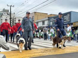 Desfile de 7 de Setembro reúne mais de 10 mil pessoas em Xaxim
