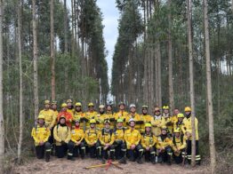 Curso aprimora técnicas de bombeiros militares no combate a incêndios florestais