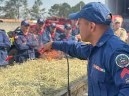 Curso aprimora técnicas de bombeiros militares no combate a incêndios florestais