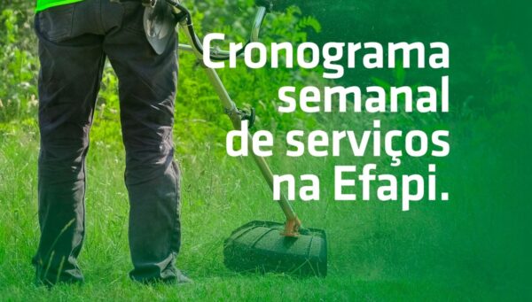 Superintendência da Efapi divulga cronograma de atividades
