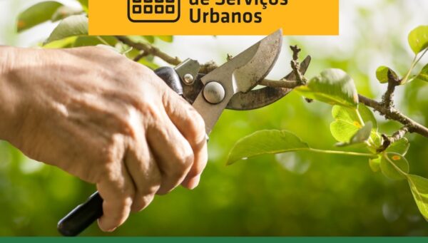Secretaria de Serviços Urbanos divulga cronograma semanal