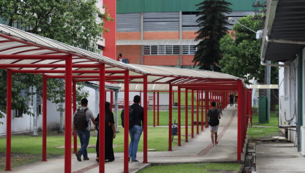 Udesc Joinville oferece 278 vagas para transferência, reingresso e retorno diplomado